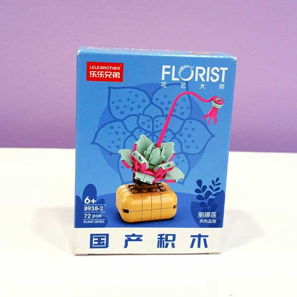 flower-8938-2-box